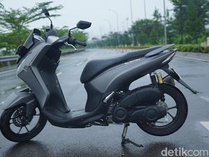 Lexi, Si Imut yang Bandel Digas di Jalan Perkotaan