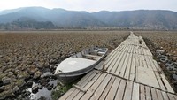 Sebuah perahu ditinggalkan pemiliknya karena tidak dapat lagi digunakan. Matias Delacroix/Reuters.