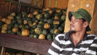 Sementara harga blewah Rp 15.000 per kilogram.