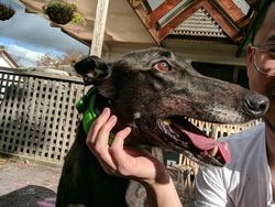 Kumpulan Foto yang Bikin Mata Terkecoh