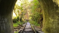 Terowongan ini terpaksa ditutup pada tahun 1915. Hal ini disebabkan jelaga dan asap yang berada di terowongan ini sangat berbahaya bagi penumpang dan awak kereta api yang melewatinya(randomphotohouse/Instagram) 