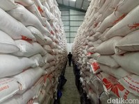 Simpang-siur Data Pangan, Pemerintah Bisa Kehilangan Kepercayaan