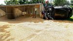 10 Potret Tumpahan Makanan Ini Berhasil Menarik Perhatian