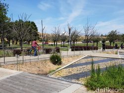 Pemuda Riau Pegawai Google Amerika & Ontel Kesayangannya