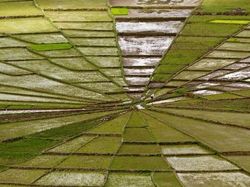 Kumpulan Foto yang Bikin Mata Terkecoh