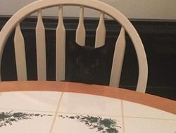 Kumpulan Foto yang Bikin Mata Terkecoh