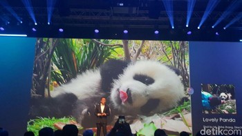 Honor 10 memiliki kamera ganda 16 MP dan 24 MP di bagian belakang serta di kamera depan yang berukuran 24 MP. Foto: detikINET/Indah Mutiara Kami