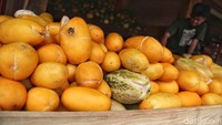 Harga buah timun suri Rp10.000 per kilogram.