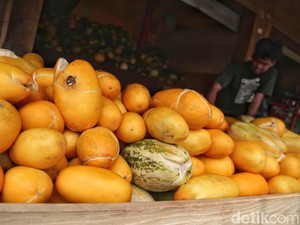 10 Manfaat Buah Blewah untuk Tubuh, Mencegah Dehidrasi hingga Asma