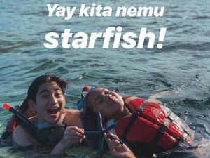 Mengapa Tidak Boleh Angkat Bintang Laut dari Air?