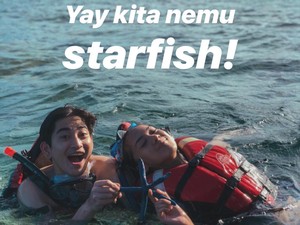 Mengapa Tidak Boleh Angkat Bintang Laut dari Air?