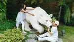 Kemesraan saat Honeymoon ala Raditya Dika