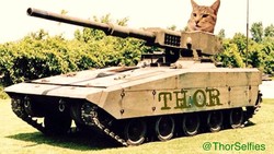 Gambar kucing lucu rupanya banyak manfaatnya. Ketika Belgia diancam teroris tahun 2015 lalu, warganet bereaksi dengan membagikan gambar kucing lucu.