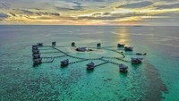 Sejatinya, resort Pulo Cinta merupakan destinasi bulan madu romantis di Gorontalo (Pulo Cinta Eco Resort/Facebook)