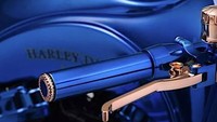 Otolovers ada yang minta beli motor seperti itu? Sebelum membeli motor Harley-Davidson Bucherer Blue Edition ini konsumen mungkin harus berpikir ulang dan punya mental yang kuat, karena membawa motor dijalanan yang penuh dengan berlian. Foto: Pool (Autoevolution)