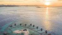 Dengan water villa yang indah, Pulo Cinta juga dikelilingi dengan spot menyelam yang cantik (Pulo Cinta Eco Resort/Facebook)