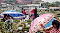 Suasana di TPU Budi Dharma, Semper Timur, Cilincing, Jakarta Utara, Rabu (16/5/2018).
