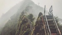 Anak tangga di Haiku Stairs berjumlah 3.922 lho. (eugenia.zm/Instagram)