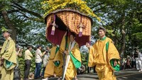 Festival ini dimulai pada pukul 10.30 pagi bergerak dari gerbang selatan Kyoto Imperial Palace melintasi sungai di depan Kuil Shimogamo dan berakhir di Kuil Kamigamo. Carl Court/Getty Images.