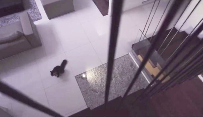 Penampakan dari tangga, yang memperlihatkan bebatuan putih sebagai dekorasi rumah. Foto: Youtube