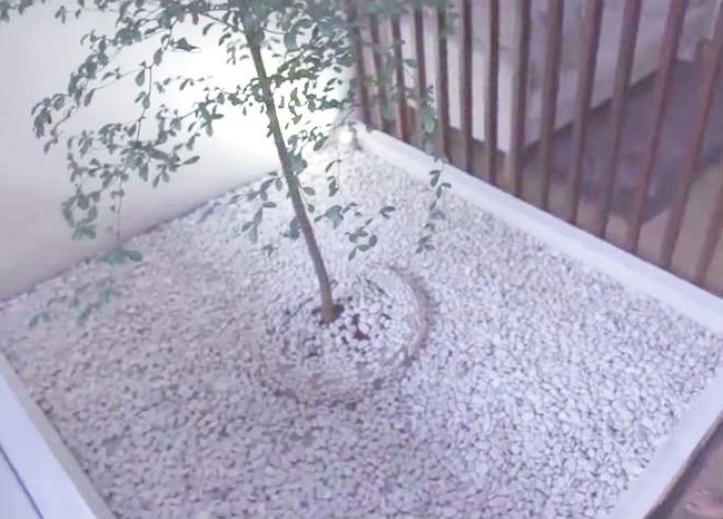 Gaya minimalis jadi pilihan Raditya Dika dalam menata rumahnya. Terlihat dari pemilihan palet yang didominasi nuansa netral seperti putih, cokelat, krem, dan abu-abu. Foto: Youtube