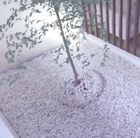 Gaya minimalis jadi pilihan Raditya Dika dalam menata rumahnya. Terlihat dari pemilihan palet yang didominasi nuansa netral seperti putih, cokelat, krem, dan abu-abu. Foto: Youtube