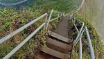 Foto: Tangga Menuju Surga di Hawaii