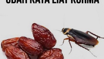 Ada yang melihat kecoa seperti kurma. Foto: Istimewa