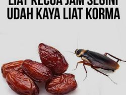 Meme Kocak Puasa Bikin Ngakak, Pas untuk Ngabuburit Hari Pertama