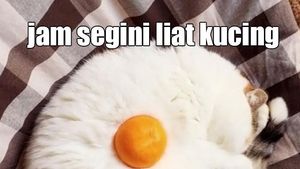 Meme Puasa Kocak Bikin Ngakak, Pas untuk Ngabuburit Hari Pertama