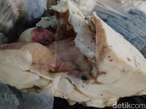 Jorok! Limbah Hewan Menumpuk di Jalan Baleendah Bandung