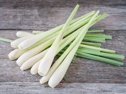 Sedang Flu? Redakan dengan 5 Racikan Teh Alami Ini