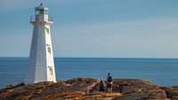Waktu terbaik untuk berkunjung ke Newfoundland pada bulan Mei-Juni saat bergeraknya gunung es. Di bulan Juni-Agustus untuk cuaca yang baik saat pendakian, bulan Mei-September untuk melihat ikan paus (CNN Travel)