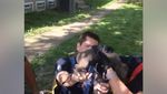 Foto: Aksi Penyelamatan Anjing yang Terperangkap dalam Pipa