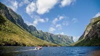 Diucapkan Noo-fn-land, Newfoundland adalah rumah bagi fjord (tebing-tebing tinggi di antara laut yang tinggi dan curam, seperti di Norwegia dan Islandia) (CNN Travel)