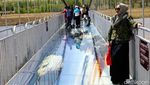 Foto: Jembatan Kaca 3 Dimensi Pertama di China