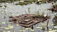 Makam yang terendam air itu sudah cukup lama dibiarkan.