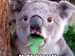 Parade Meme Lucu Nasib Miris Saat Sahur