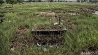 Selain itu, area pemakaman juga dipenuhi rumput liar.