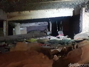 Video Saat Macan Tutul Ngumpet di Rumah Warga Sukabumi