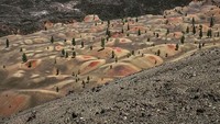 Warna merah, kuning, oranye dan abu-abu saling timbun membentuk gradasi cantik di antara pepohonan yang tumbuh. (ardel71/Instagram)