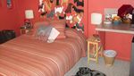 Guk Guk! Hotel Ini Berbentuk Anjing
