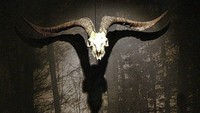 Tak hanya itu, pengunjung juga diperlihatkan film bertema sihir berjudul La Caza de brujas. Di film ini dijelaskan bagaimana kejadian sesungguhnya ketika pembantaian para penyihir di abad ke-17. (xabiergoienetxea/Instagram)