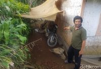 Kisah Goci Terpaksa Begadang Saat Macan Ngumpet di Kolong Rumah
