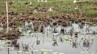 Menurut penjaga makam, air berasal dari rembesan sungai.