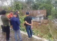 Heboh! Macan Tutul Ngumpet di Kolong Rumah Warga Sukabumi
