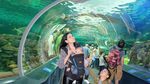 Foto: Travelingnya Titi Kamal & Sang Buah Hati di Kanada