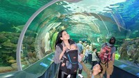 Mereka juga berwisata ke Ripleys Aquarium of Canada di Toronto (titi_kamall/Instagram)
