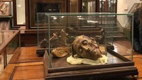 Museum ini bernama La Specola. Museum in bagian dari Museum of Natural History ini sudah ada sejak tahun 1775 dan masih terawat dengan baik hingga kini. (tanao0313/Instagram) Museum ini bernama La Specola. Museum in bagian dari Museum of Natural History ini sudah ada sejak tahun 1775 dan masih terawat dengan baik hingga kini. (tanao0313/Instagram)