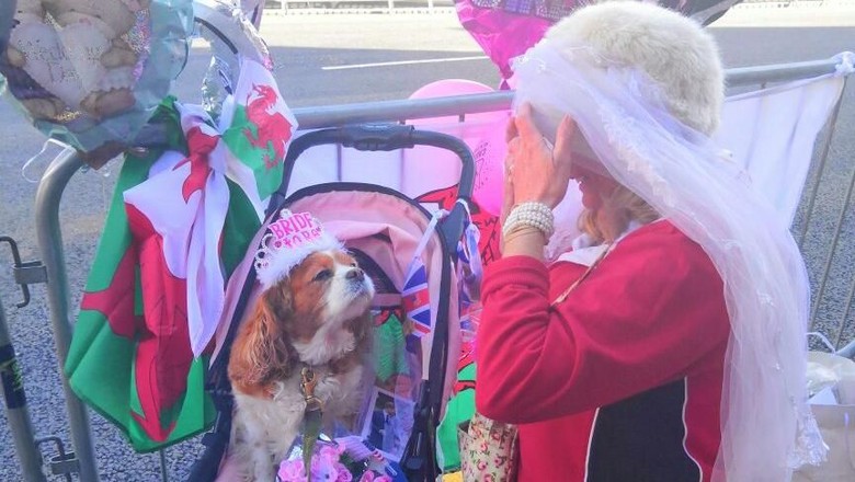 Gemas! Anjing Ini Ikut Nonton Pernikahan Pangeran Harry-Meghan Gemas! Anjing Ini Ikut Nonton Pernikahan Pangeran Harry-Meghan